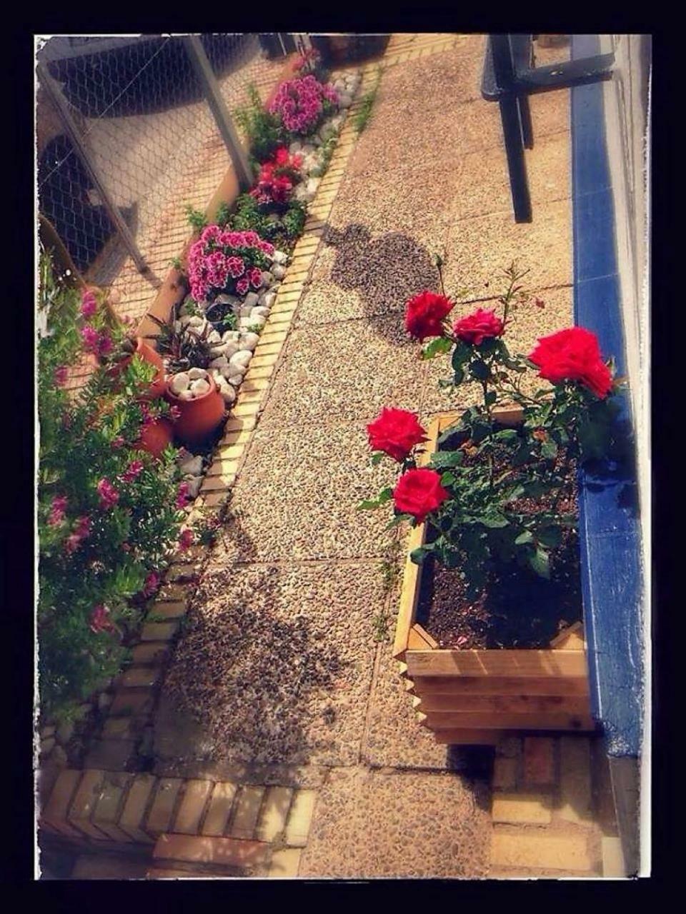 Hostal Puerto De Santa Maria El Puerto de Santa María Dış mekan fotoğraf